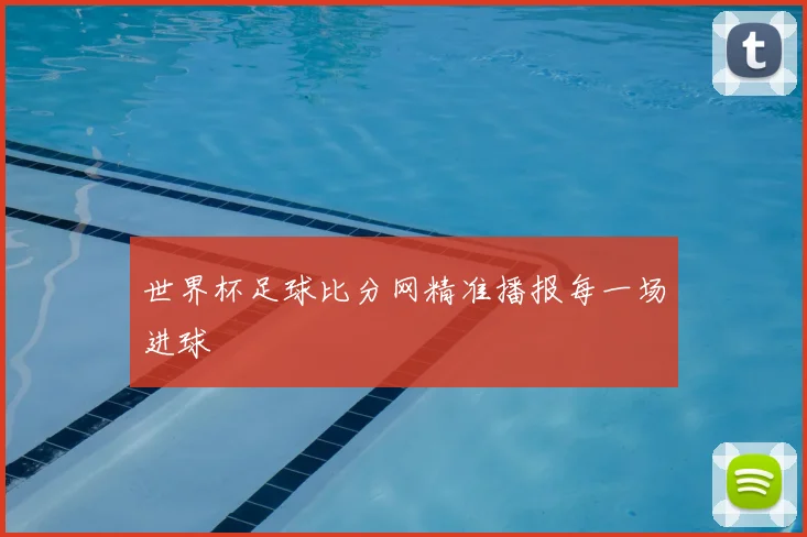 世界杯足球比分网精准播报每一场进球