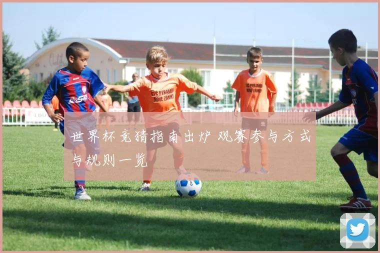 世界杯竞猜指南出炉 观赛参与方式与规则一览