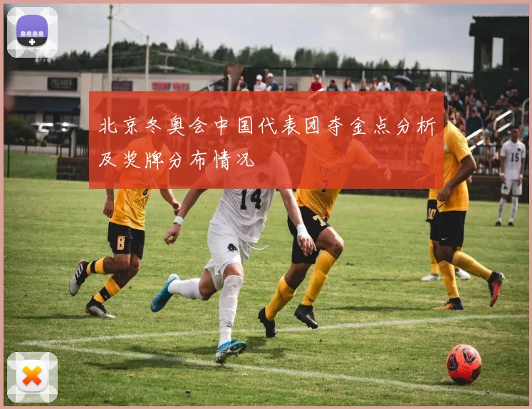 北京冬奥会中国代表团夺金点分析及奖牌分布情况