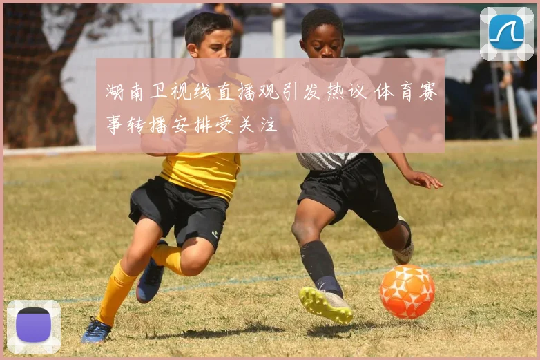 湖南卫视线直播观引发热议 体育赛事转播安排受关注