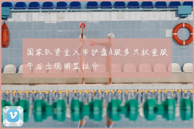国家队资金入市护盘A股多只权重股午后出现明显拉升