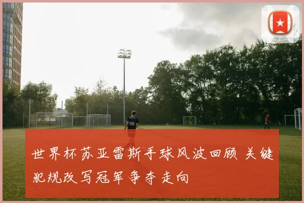 世界杯苏亚雷斯手球风波回顾 关键犯规改写冠军争夺走向