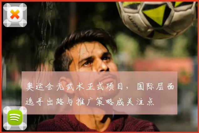 奥运会无武术正式项目，国际层面选手出路与推广策略成关注点