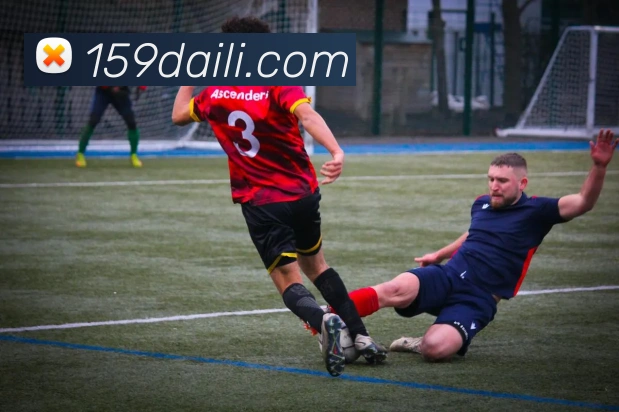 世界杯官方入口平台生态图